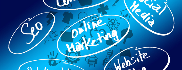 Online Visibility - What should your monthly visibility report contain?